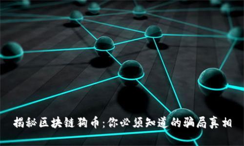 揭秘区块链狗币：你必须知道的骗局真相