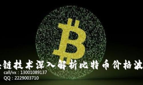 利用区块链技术深入解析比特币价格波动的本质