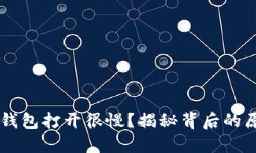 为什么TP钱包打开很慢？揭秘背后的原因与方法