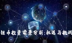 区块链币投资前景分析：机遇与挑战并存