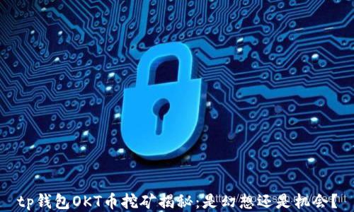 
tp钱包OKT币挖矿揭秘：是幻想还是机会？