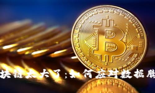 比特币区块链太大了：如何应对数据膨胀的挑战