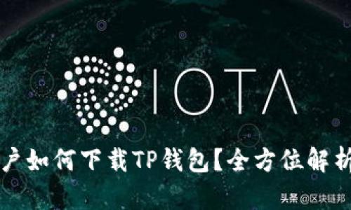 苹果手机用户如何下载TP钱包？全方位解析及解决方案