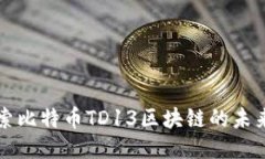 深入探索比特币TD13区块链的未来与挑战
