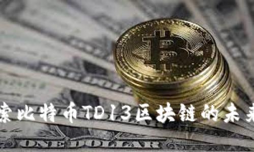 深入探索比特币TD13区块链的未来与挑战