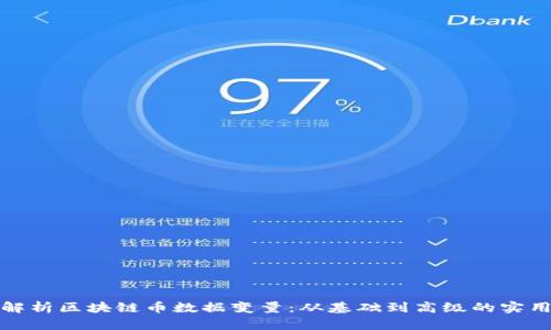 全面解析区块链币数据变量：从基础到高级的实用教程