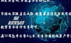 邦如何在TP钱包中成功出售Big币：完整指南/邦T