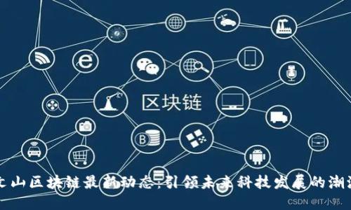 文山区块链最新动态：引领未来科技发展的潮流