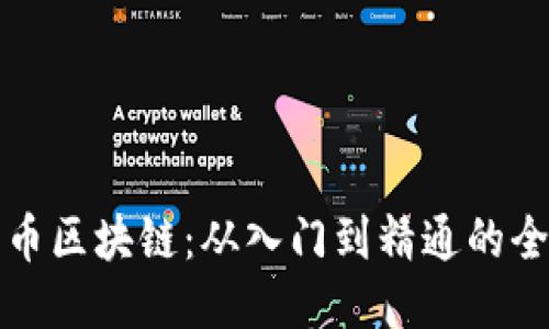 探索达尔币区块链：从入门到精通的全方位指南