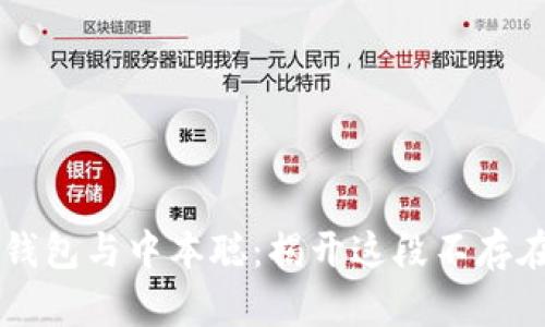 解密TP钱包与中本聪：揭开这段不存在的关系