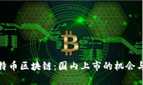 : 比特币区块链：国内上市的机会与挑战