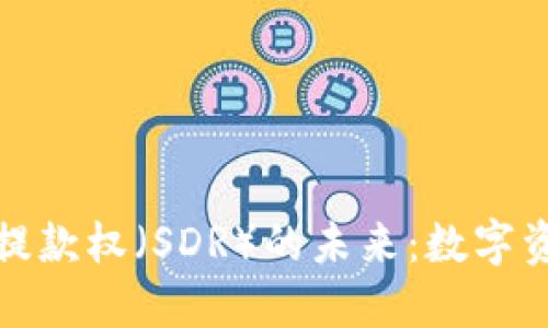 探索比特币区块链与特别提款权（SDR）的未来：数字资产与全球金融体系的交汇