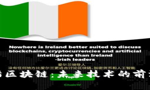 探索熊猫区块链：未来技术的前沿与惊喜