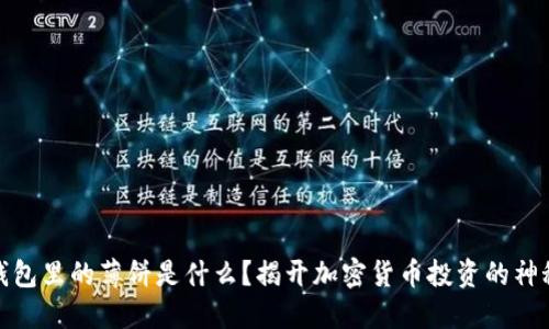 : TP钱包里的薄饼是什么？揭开加密货币投资的神秘面纱
