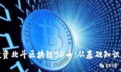 如何成功投资北斗区块链BD币：从基础知识到投资