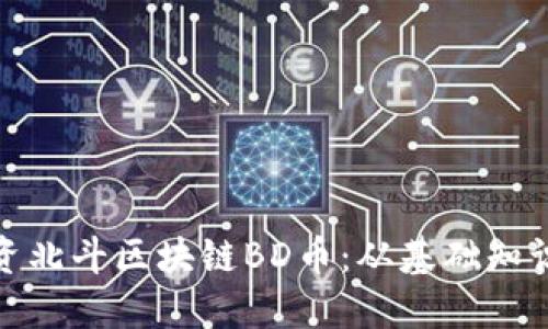 如何成功投资北斗区块链BD币：从基础知识到投资策略