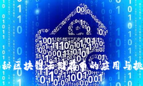 揭秘区块链云储存币的应用与挑战