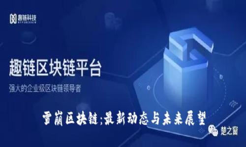雪崩区块链：最新动态与未来展望