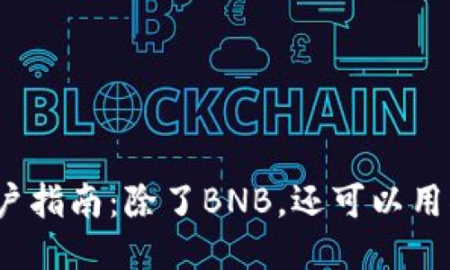 TP钱包用户指南：除了BNB，还可以用什么买币？