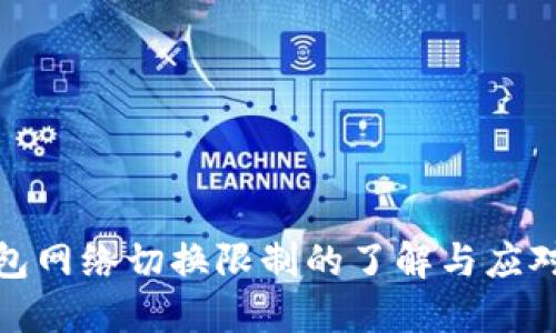 TP钱包网络切换限制的了解与应对策略