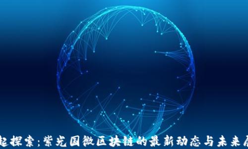 
一起探索：紫光国微区块链的最新动态与未来展望