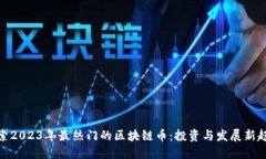 探索2023年最热门的区块链币：投资与发展新趋势