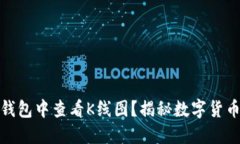 如何在TP钱包中查看K线图？揭秘数字货币交易秘