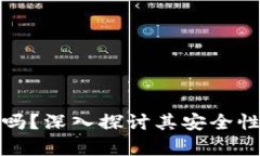 TP钱包安全吗？深入探讨其安全性与发展前景