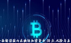 全面解读国内区块链加密货币：潜力、风险与未