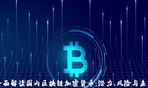 
全面解读国内区块链加密货币：潜力、风险与未来