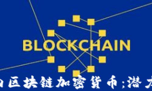 
全面解读国内区块链加密货币：潜力、风险与未来
