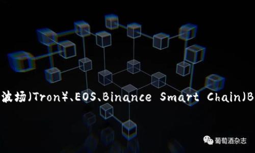 TP钱包（TokenPocket）是一个支持多种区块链资产管理和交易的钱包应用。它支持多个区块链，包括但不限于以太坊（Ethereum）、波场（Tron）、EOS、Binance Smart Chain（BSC）、Polygon（Matic）等。用户可以通过TP钱包进行各类加密资产的收款、转账和交易，具体的链名称取决于用户选择的区块链网络。

如果您有更具体的问题或需要进一步的深入信息，请告诉我！