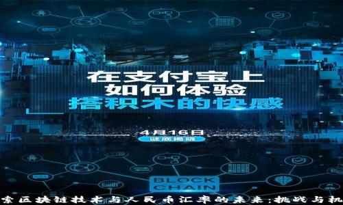 
探索区块链技术与人民币汇率的未来：挑战与机遇