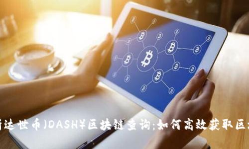 全面解析达世币（DASH）区块链查询：如何高效获取区块链数据