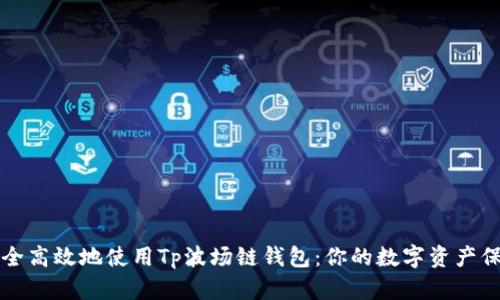 如何安全高效地使用Tp波场链钱包：你的数字资产保护指南