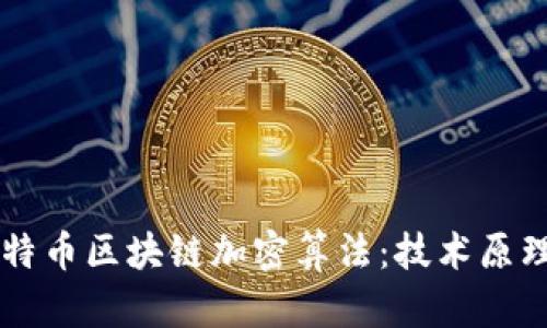 深入探索比特币区块链加密算法：技术原理与实际应用