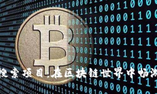 TP钱包的热门搜索项目：在区块链世界中畅游的乐趣与风险
