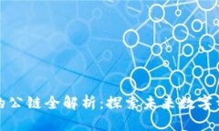 : TP钱包支持的公链全解析：探索未来数字资产的