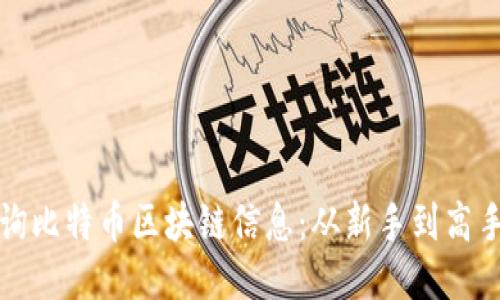 如何高效查询比特币区块链信息：从新手到高手的全面指南