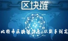 如何高效查询比特币区块链信息：从新手到高手